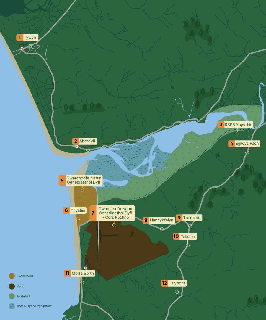  Map o aber Afon Dyfi yn dangos mathau o gynefinoedd a lleoliadau allweddol gan gynnwys Ynyslas, Aberdyfi a RSPB Ynys-hir.